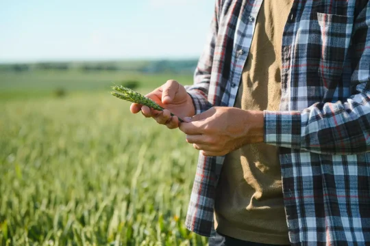 happy-bearded-farmer-cap-standing-agricultural-wheat-field